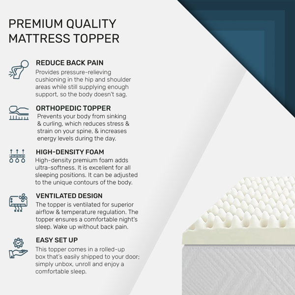 Alwyn Home Bermudez 1inch Convoluted Egg Shell Mattress Topper